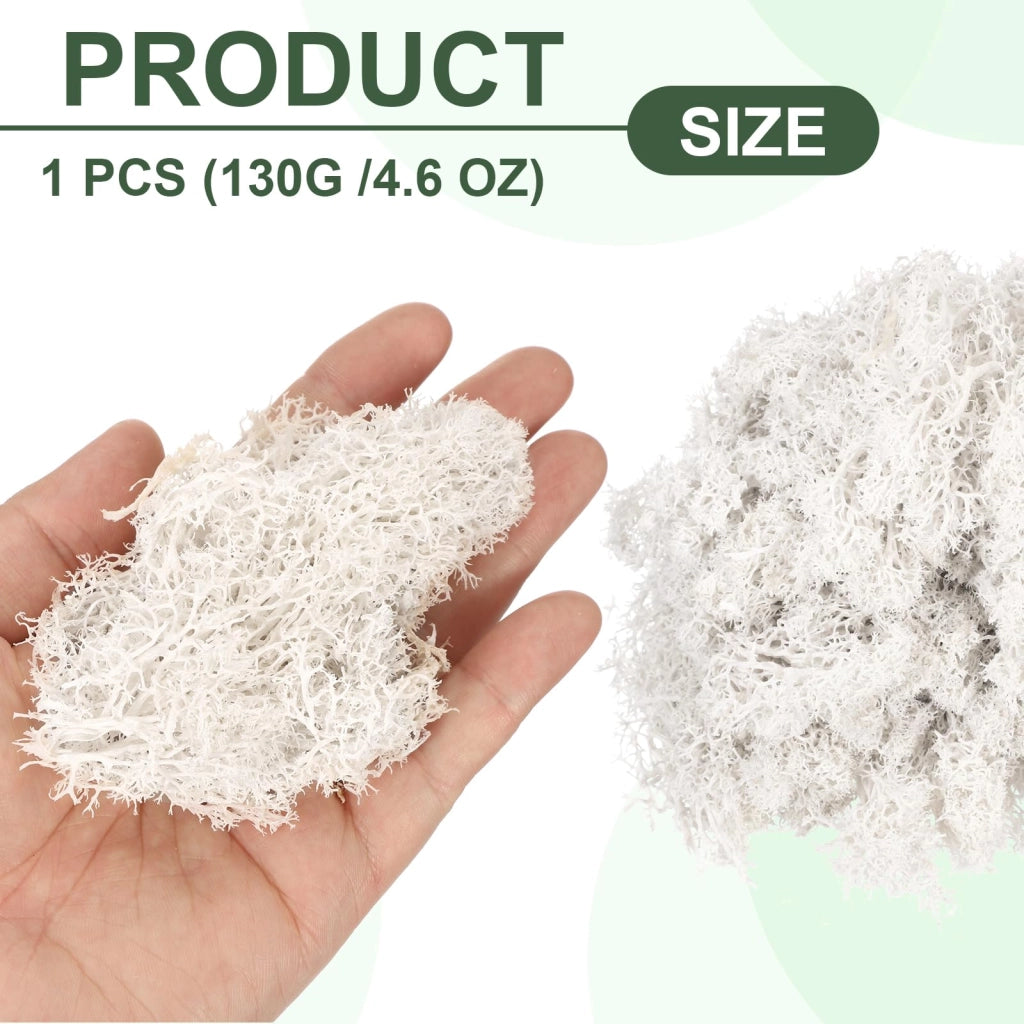 Muschio di renna conservato, bianco, 130 g, ideale per decorazioni e lavori manuali