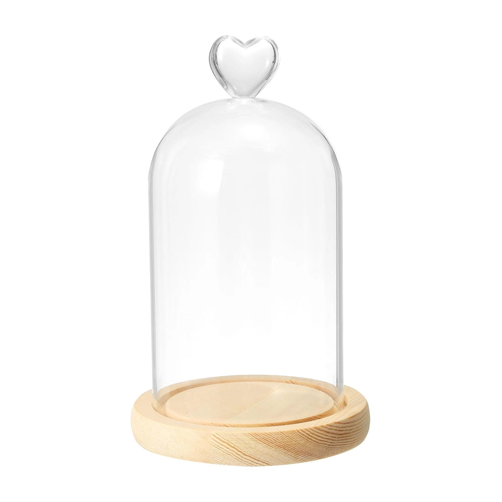 Vetrina a cupola in vetro, dimensioni 15x9 cm, con base in legno, ideale per piante