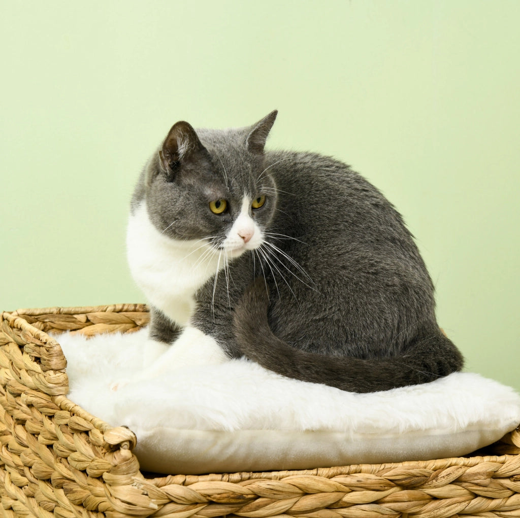 Cuccia per gatti a 2 livelli in giacinto d’acqua marrone