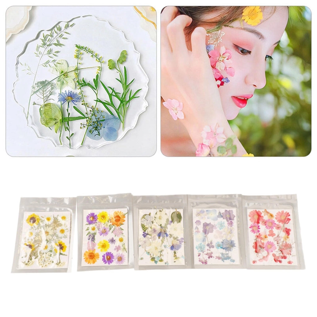 Fiori pressati, 100 pezzi, ideali per progetti fai-da-te, scrapbooking e artigianato