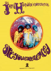 Poster di Jimi Hendrix, "Are You Experienced", dimensioni 111,8 x 76,2 cm