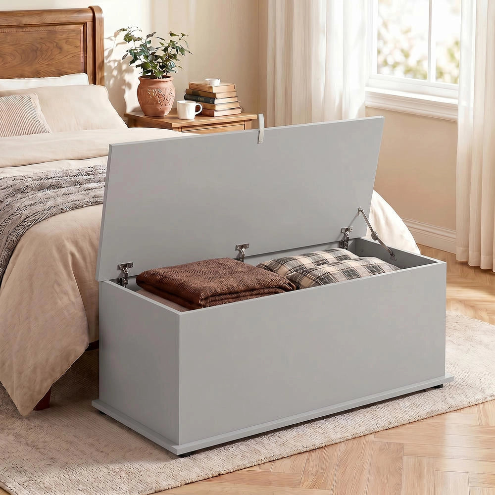 Panca Contenitore con Coperchio Ribaltabile e Cerniere di Sicurezza, Baule Salvaspazio Moderno per Casa, 100 x 40 x 40 cm, Grigio