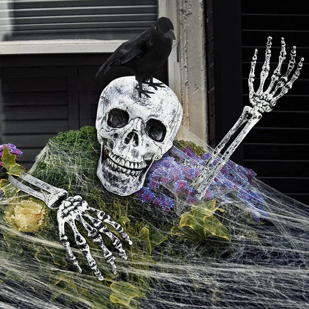 Set per Halloween: teschio, corvo, 2 braccia scheletriche