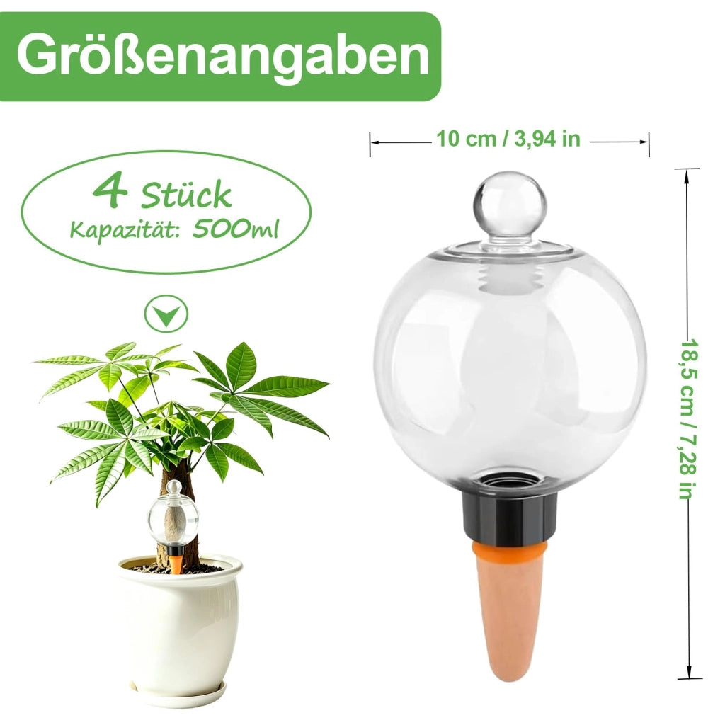 Set di 4 sfere per irrigazione, capacità 500 ml, autoirriganti, con coperchio