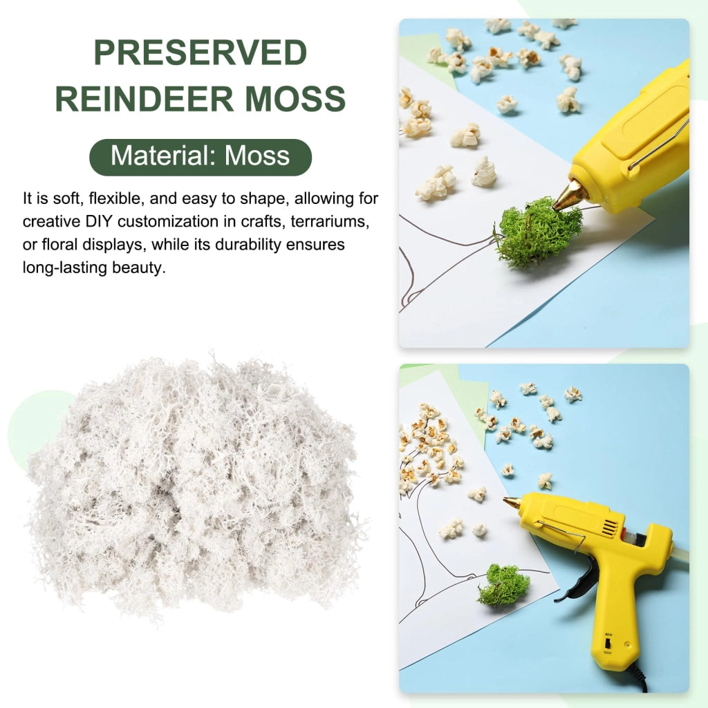 Muschio di renna conservato, bianco, 130 g, ideale per decorazioni e lavori manuali