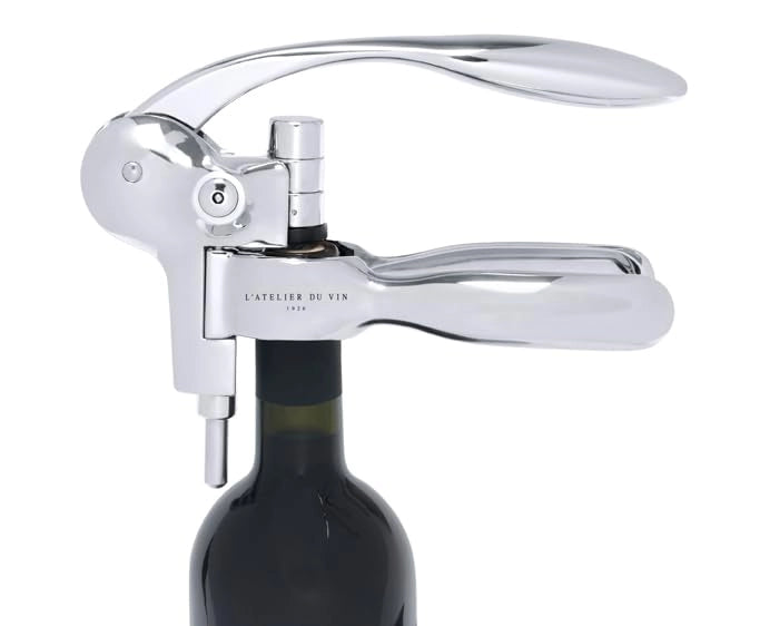 Set di cavatappi da sommelier con anello antigoccia e guida ai vini/abbinamenti cibo-vino