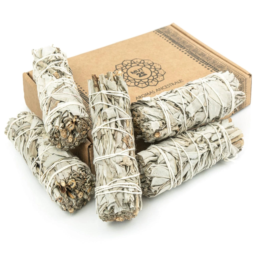 Fascetti di salvia bianca, 5 pezzi, 10 cm, per la pulizia naturale