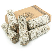 Fascetti di salvia bianca, 5 pezzi, 10 cm, per la pulizia naturale