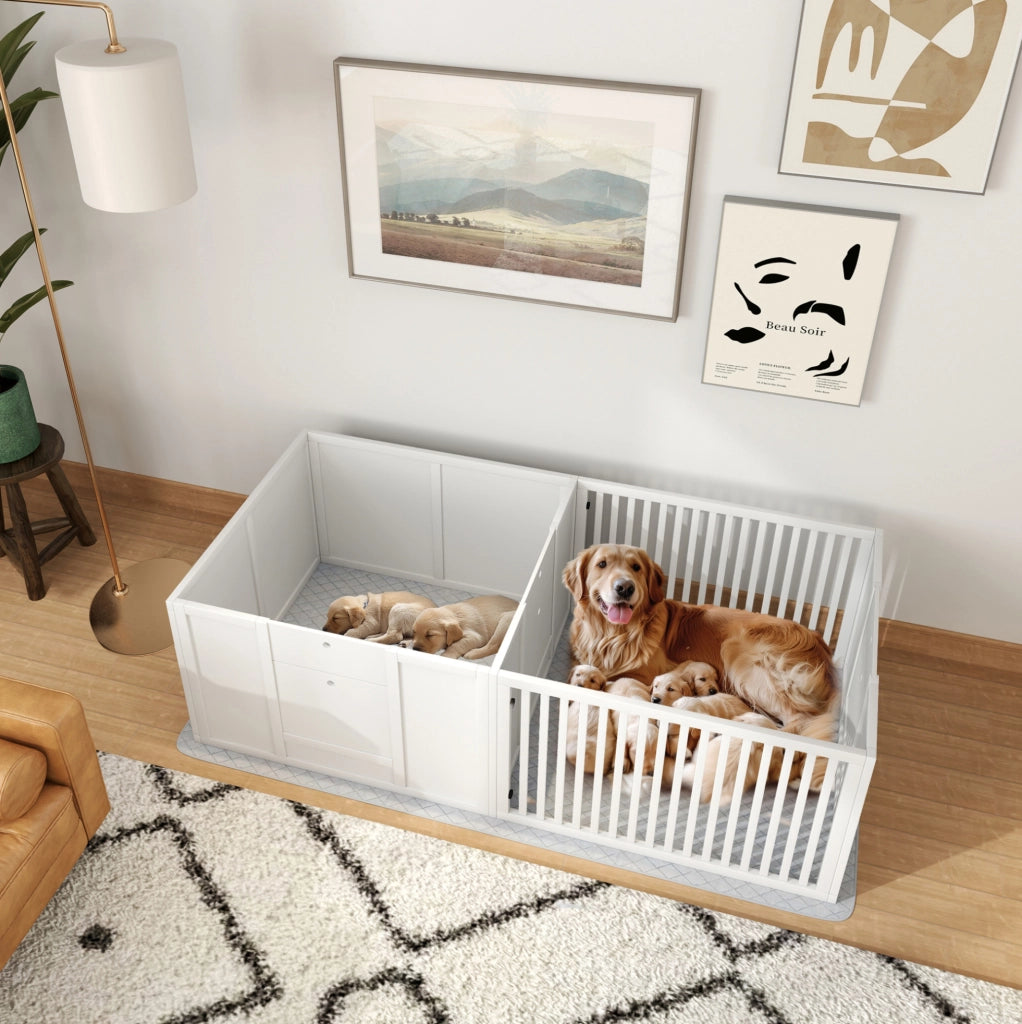 Cassa parto per cuccioli 176x80x50 cm in MDF bianco con porta regolabile
