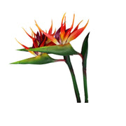 Fiori artificiali "Paradiso", altezza 71 cm, resistenti ai raggi UV, confezione da 2, colore arancione-rosso