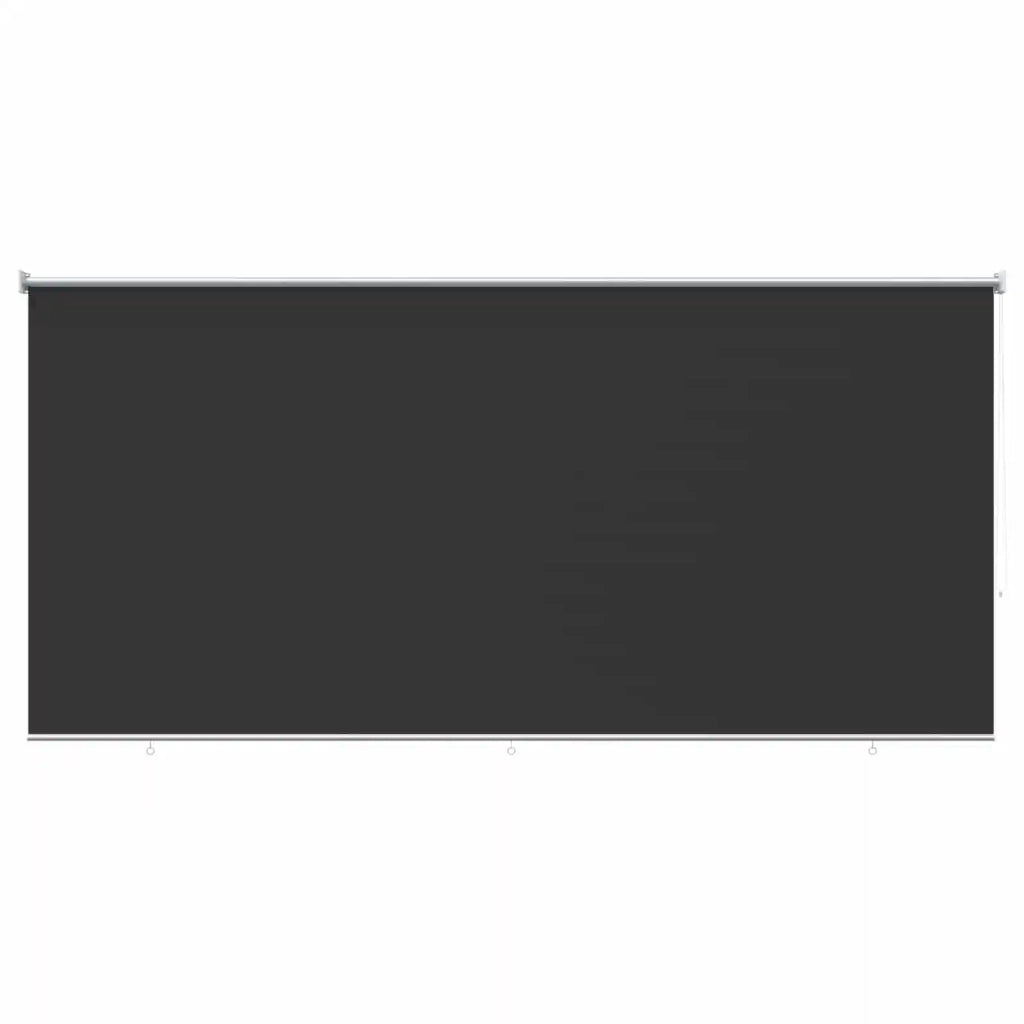 Tenda a Rullo per Esterni 355(L)x140(A) cm Antracite 43491