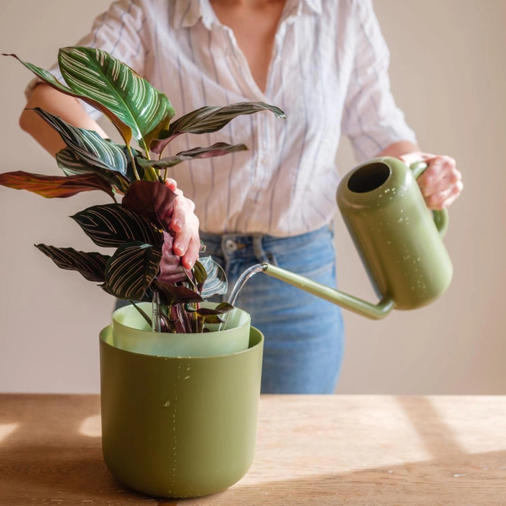 Annaffiatoio per piante da interno, 1,8 litri, verde, in plastica