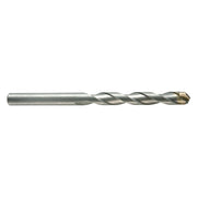 PUNTA CILINDRICA PER MURO 'STANDARD PLUS' mm 14 x 600 '03051'