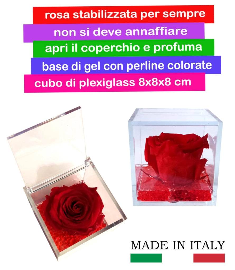 Rosa rossa stabilizzata, presentata in un cubo di plexiglass di 8x8x8 cm