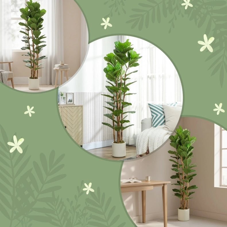 Ficus lyrata artificiale verde con vaso bianco, 180 cm