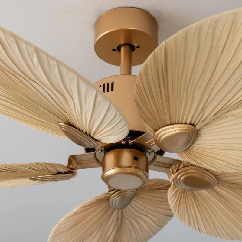 CECOTEC 08541 - EnergySilence Aero 5200 Natural Palm