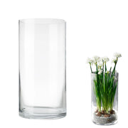 Vaso cilindrico in vetro, altezza 25 cm, trasparente, diametro 12 cm, design moderno