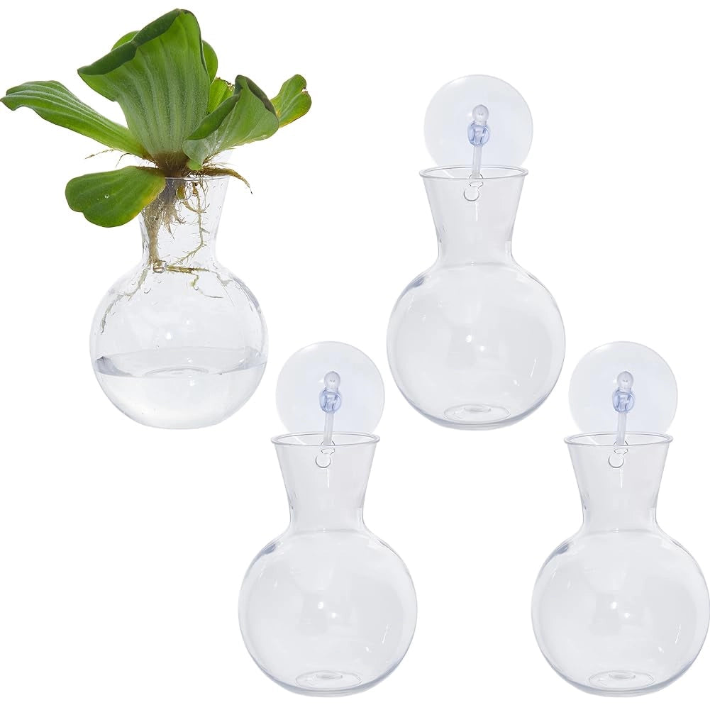 Set di 4 vasetti per la propagazione idroponica, in plastica trasparente, con ventosa