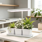 Lampada LED per piante 10 W con 3 vasi, timer e altezza regolabile
