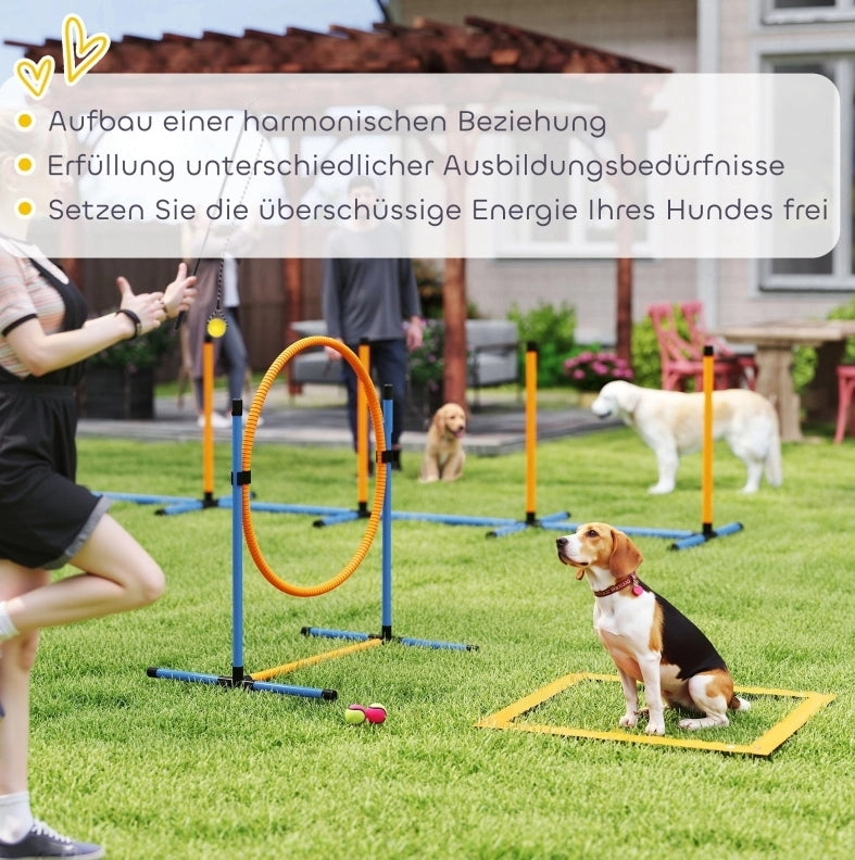 Set agility per cani con ostacolo, cerchio e pali da slalom blu