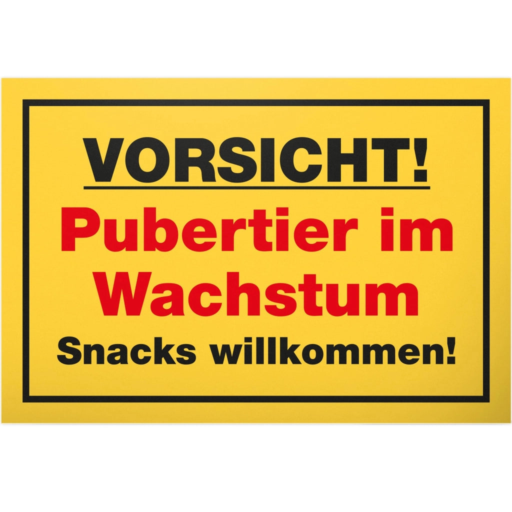 Targhetta in plastica, 30x20 cm – Segnaletica per porte, ideale per adolescenti, articolo decorativo