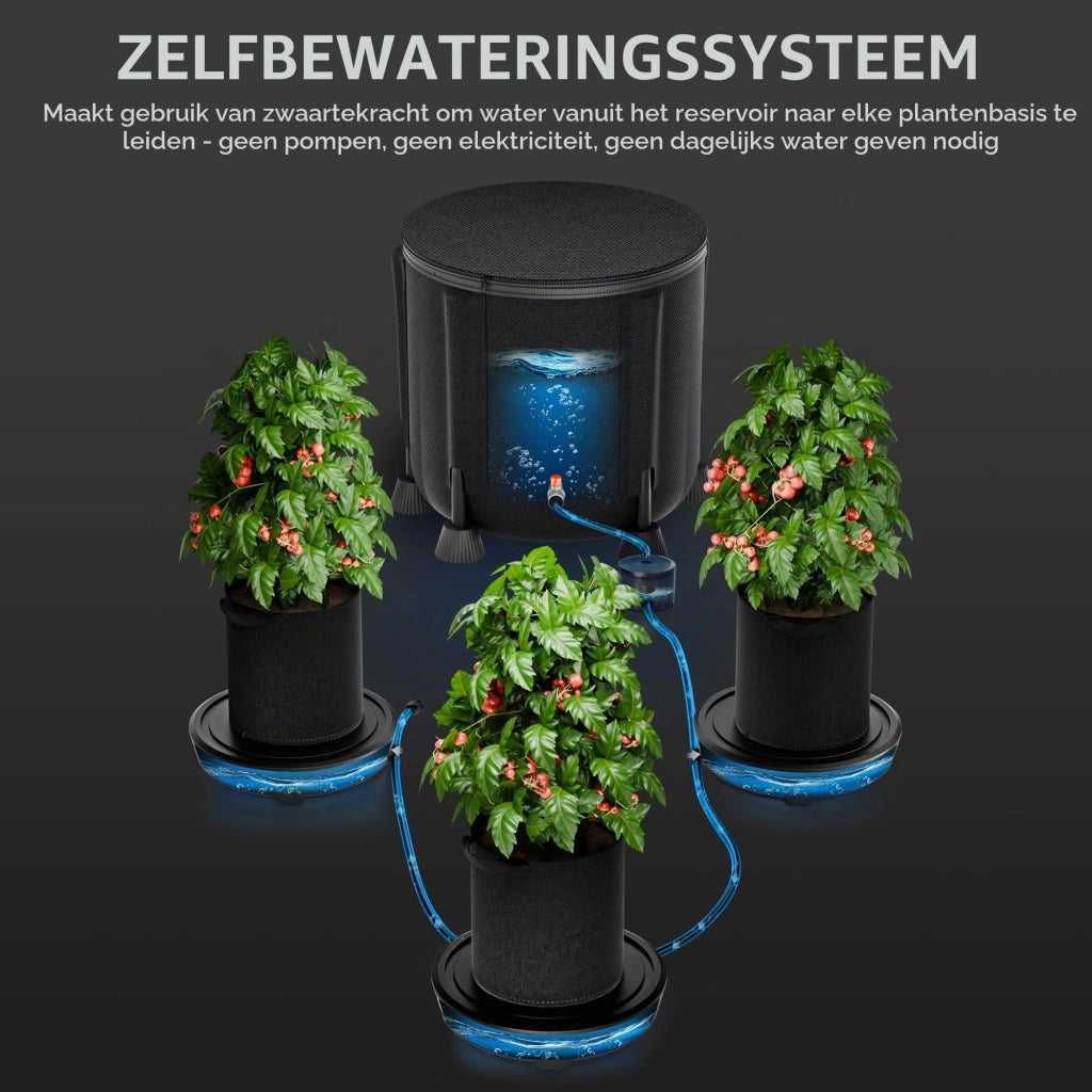 Set di 3 sistemi di autoirrigazione, serbatoio da 50 litri, sistema di irrigazione a capillarità