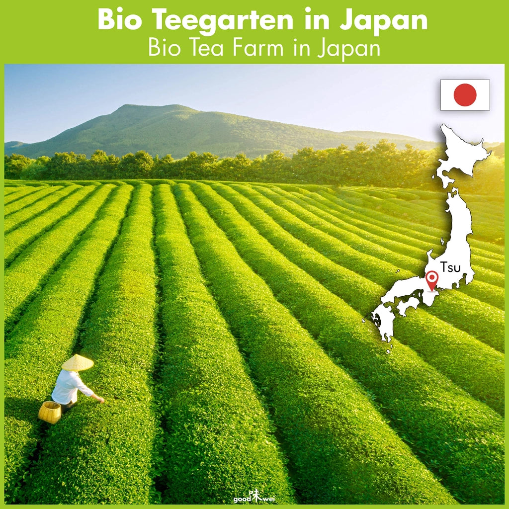 Set per la preparazione del matcha, con matcha biologico, ciotola, frustino e cucchiaino, proveniente da Uji