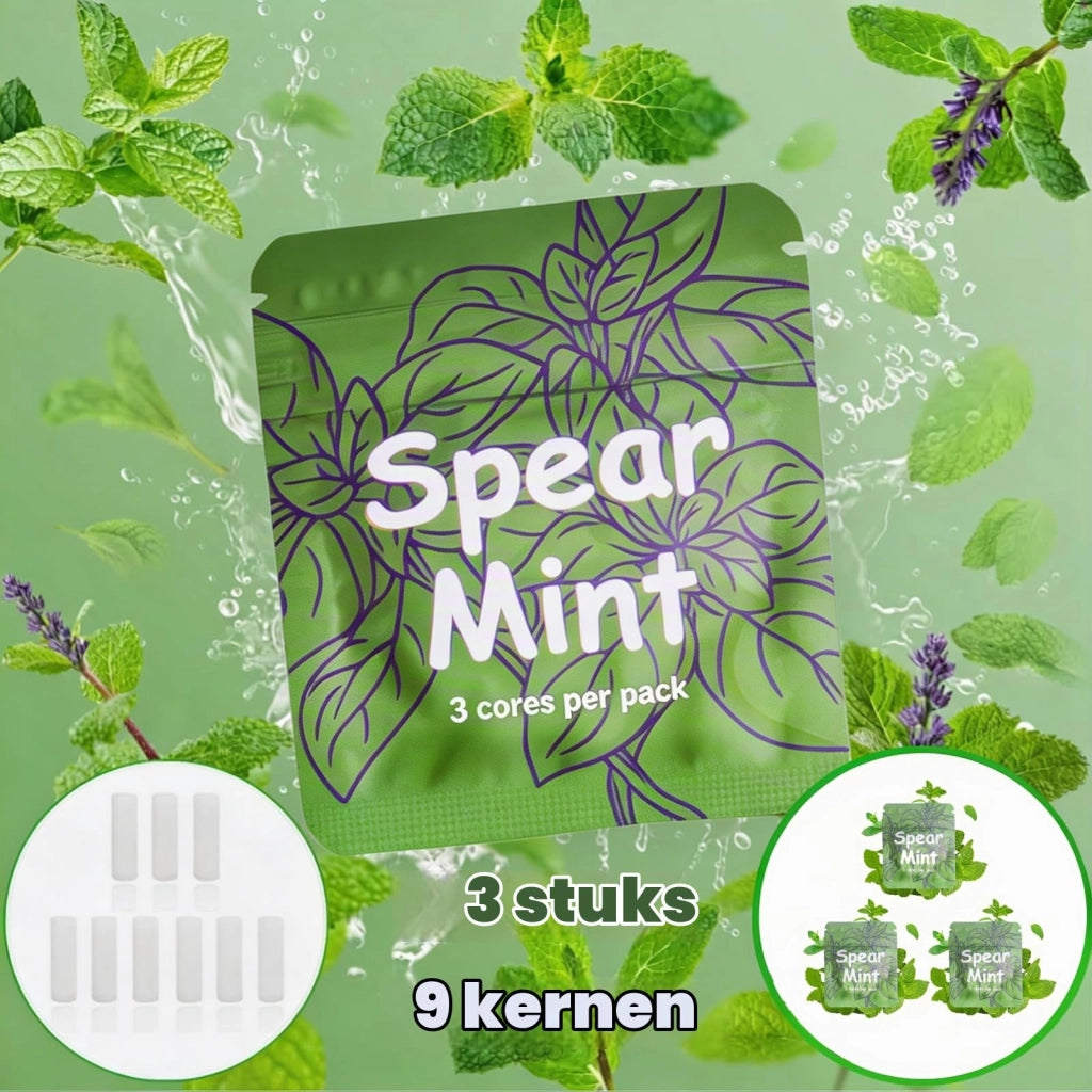 Capsule di menta compatte, 5,5 mm x 30 mm, confezione da 9 pezzi, venduta in triplici confezioni