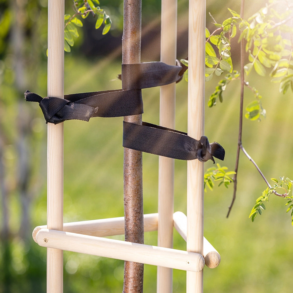 Nastro KADAX per stabilizzare alberi, 50 mm