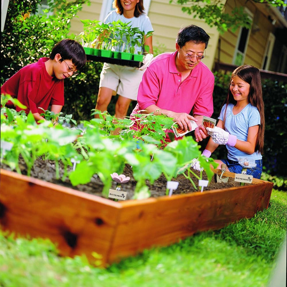 Set di 2 abbeveratoi per insetti, stazione sicura per l'acqua per api, ideale per giardino e balcone