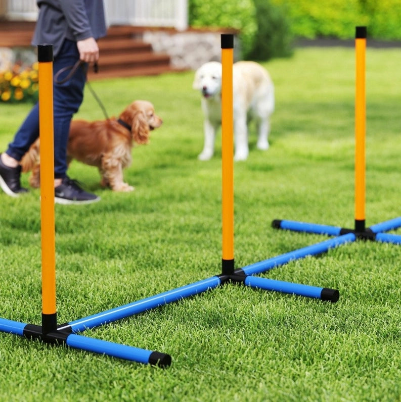 Set agility per cani con ostacolo, cerchio e pali da slalom blu