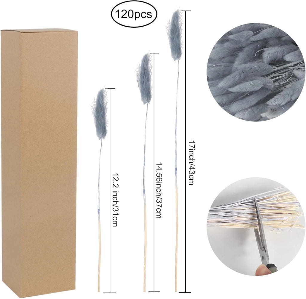 Confezione da 120 pezzi di erba di coda di coniglio essiccata, di colore grigio, disponibile in 3 diverse dimensioni