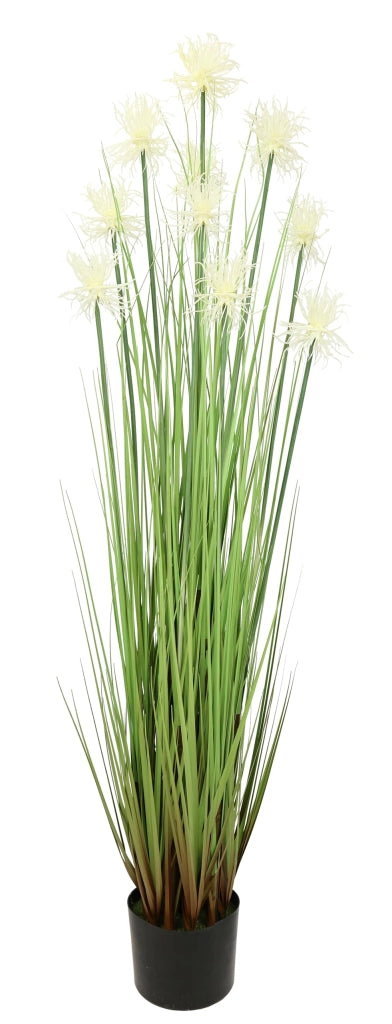 Pianta artificiale protea con fiori bianchi, altezza 120 cm