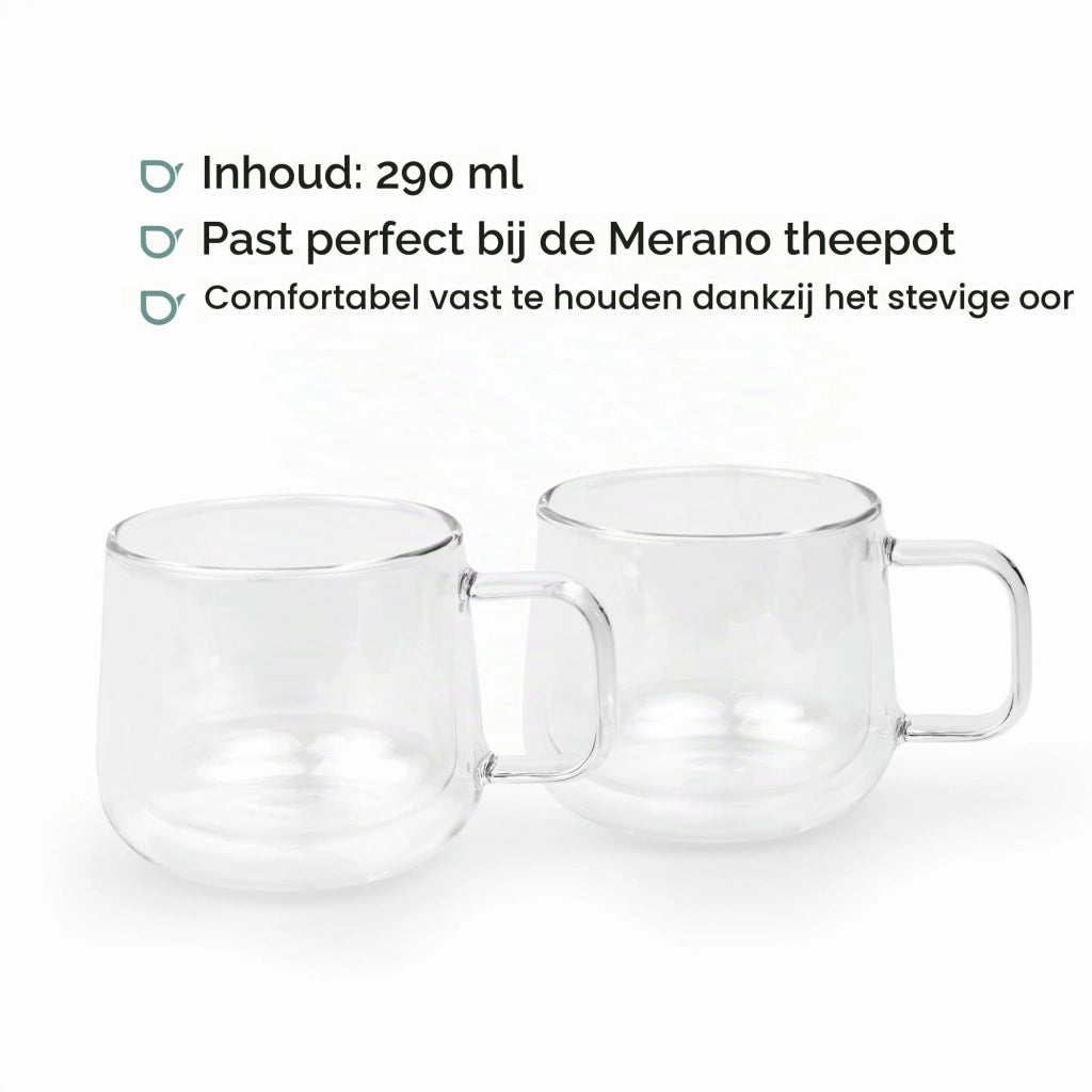 Set di 2 bicchieri da tè, capacità 290 ml, a doppia parete, resistenti al calore