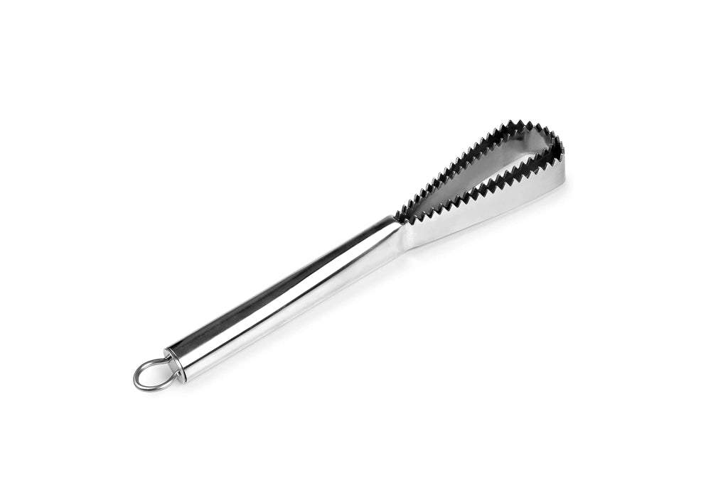 Raschietto per squame in acciaio inossidabile, dimensioni 25x5x2 cm