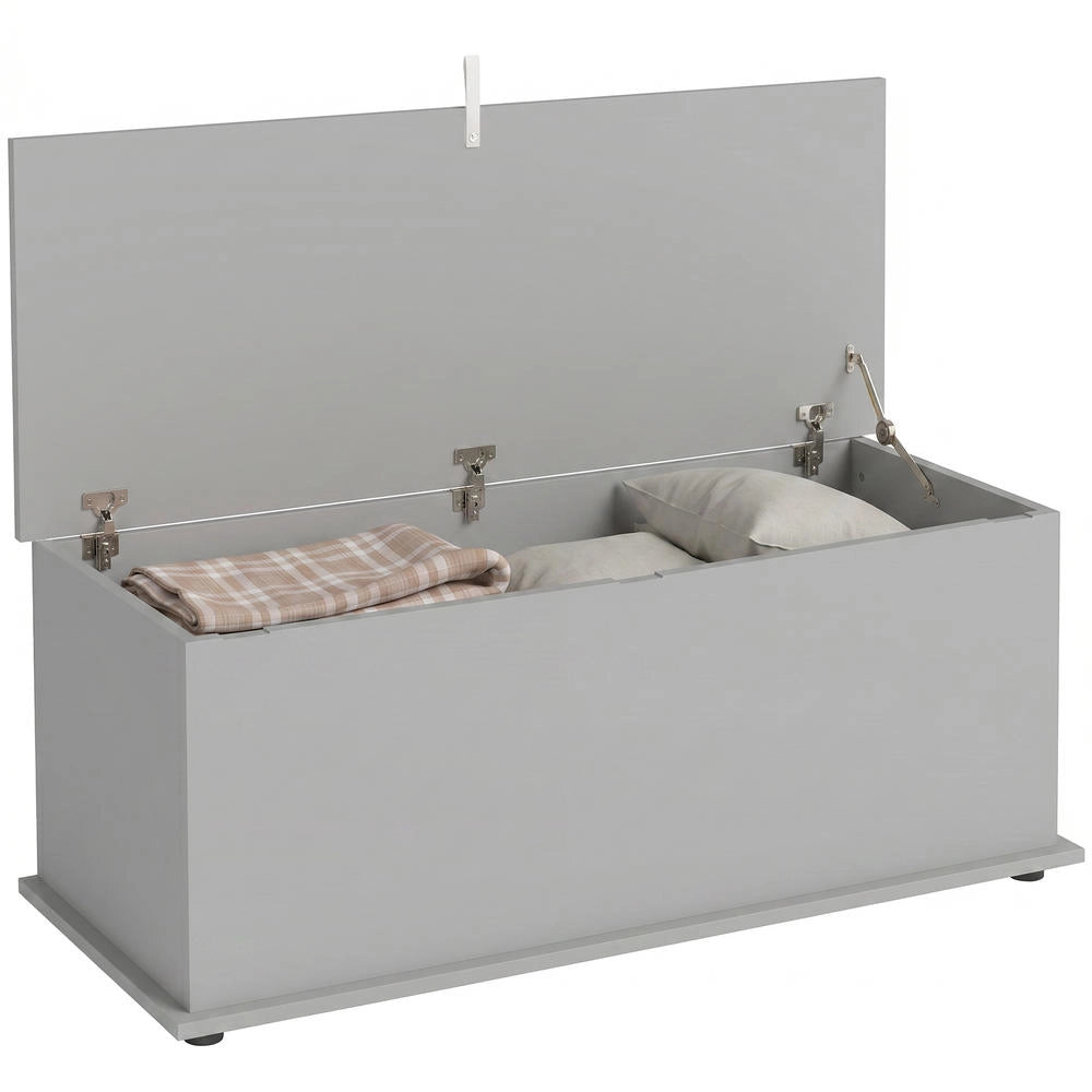 Panca Contenitore con Coperchio Ribaltabile e Cerniere di Sicurezza, Baule Salvaspazio Moderno per Casa, 100 x 40 x 40 cm, Grigio