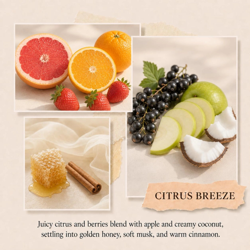 Diffusore di fragranze per ambienti con bastoncini, 100 ml, profumo "Brezza Agrumata", 8 bastoncini