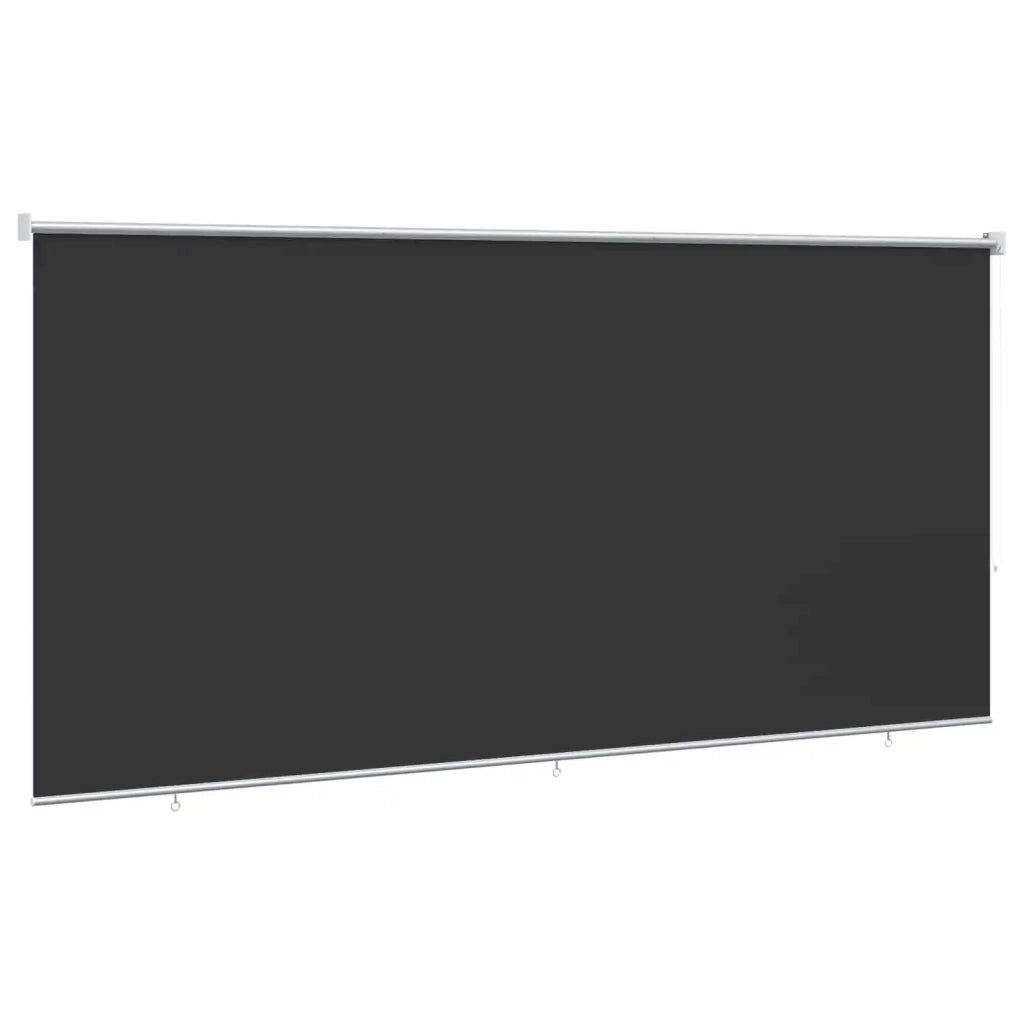 Tenda a Rullo per Esterni 355(L)x140(A) cm Antracite 43491