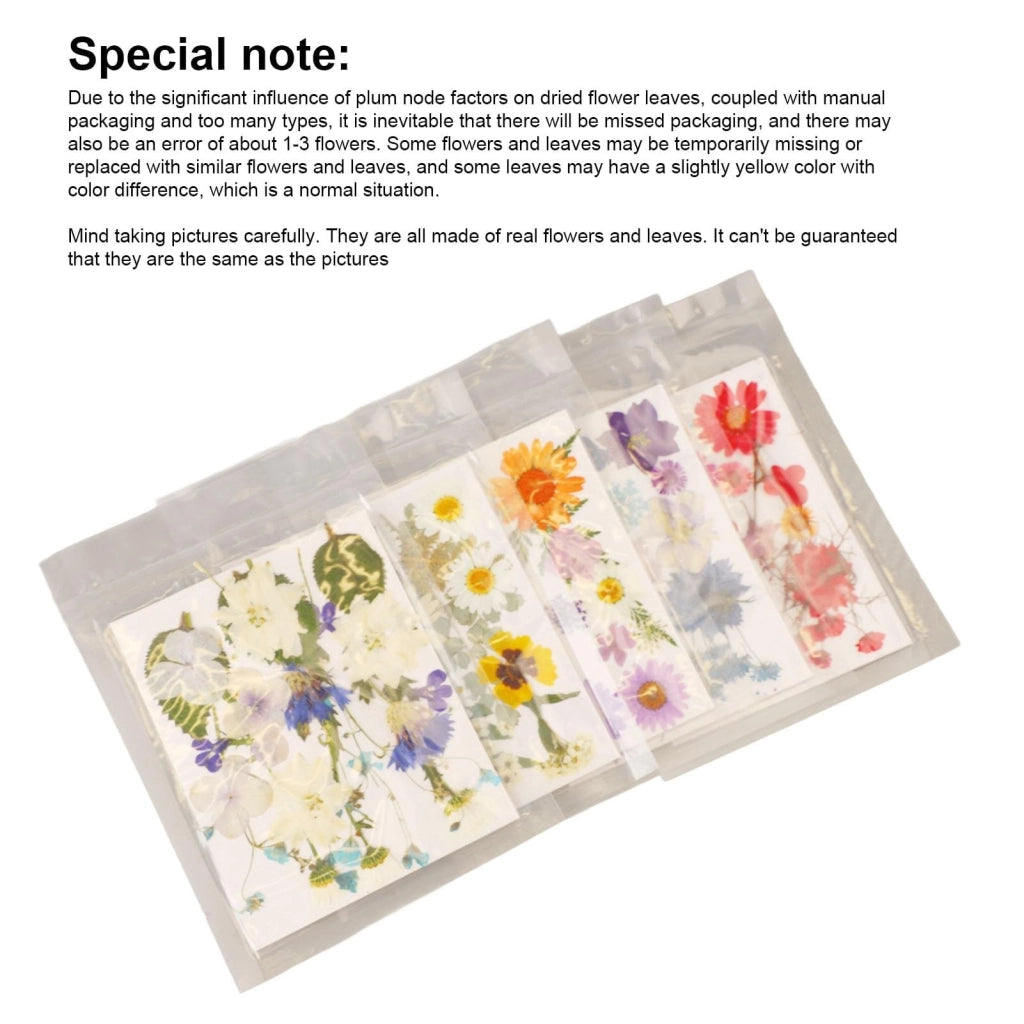Fiori pressati, 100 pezzi, ideali per progetti fai-da-te, scrapbooking e artigianato