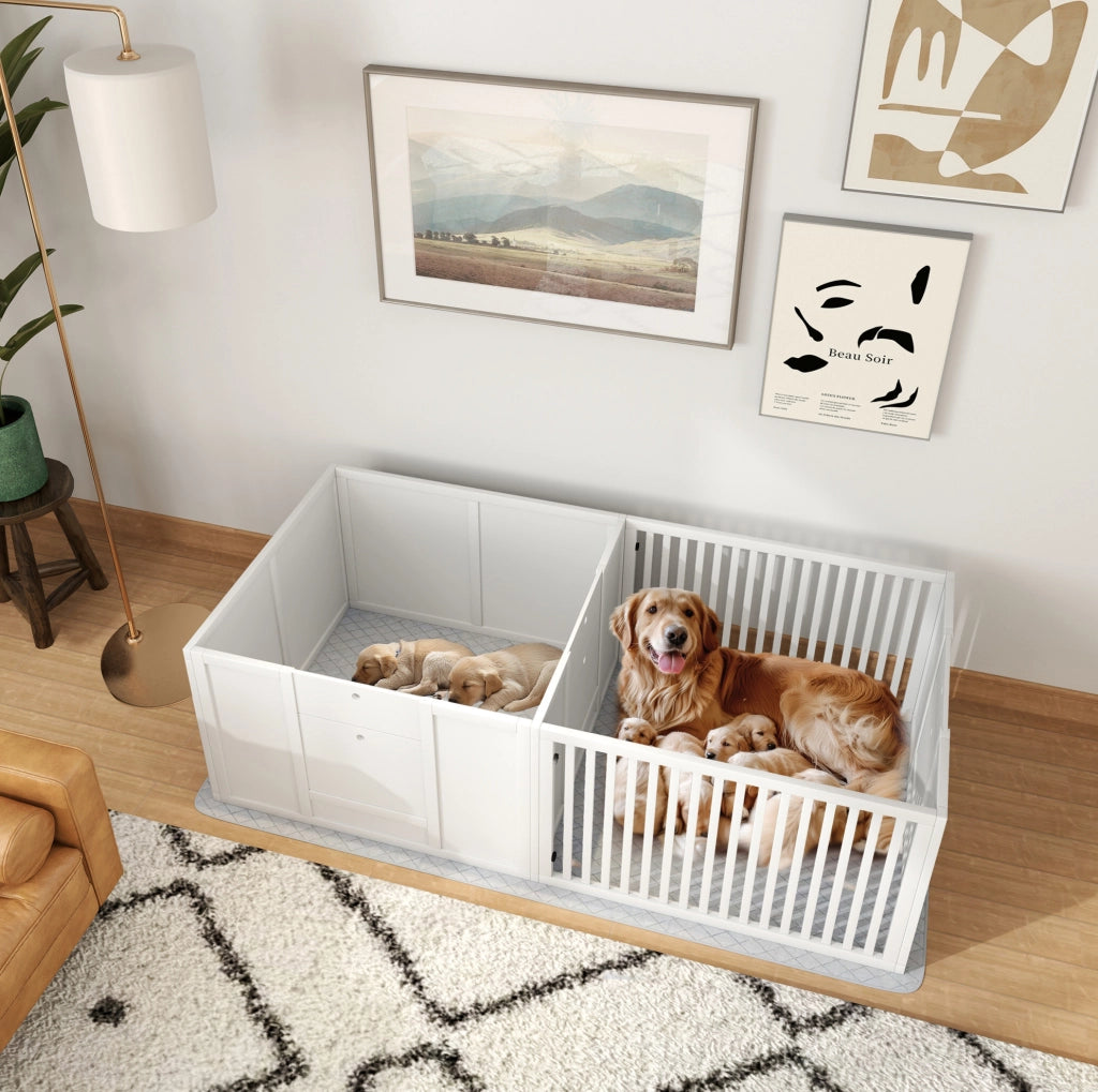 Cassa parto per cuccioli 176x80x50 cm in MDF bianco con porta regolabile