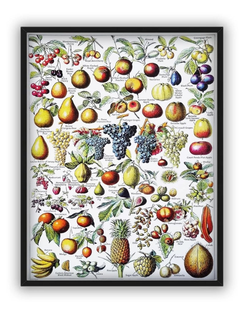 Poster vintage pubblicitario con frutta, 40x30 cm, stampa artistica
