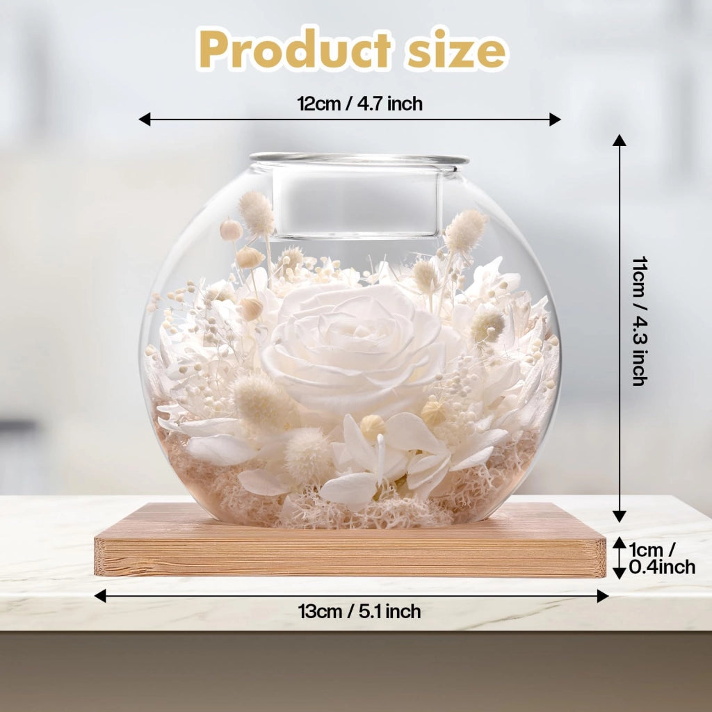 Rosa conservata in vaso di vetro, con candele profumate, colore bianco, altezza 30-32 cm, set regalo