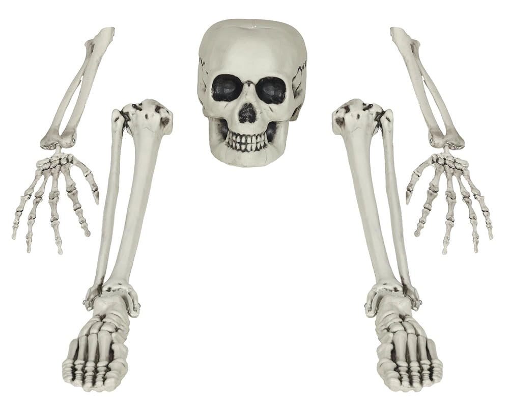 Set di ossa scheletriche, 5 pezzi, decorazione per Halloween, colore bianco