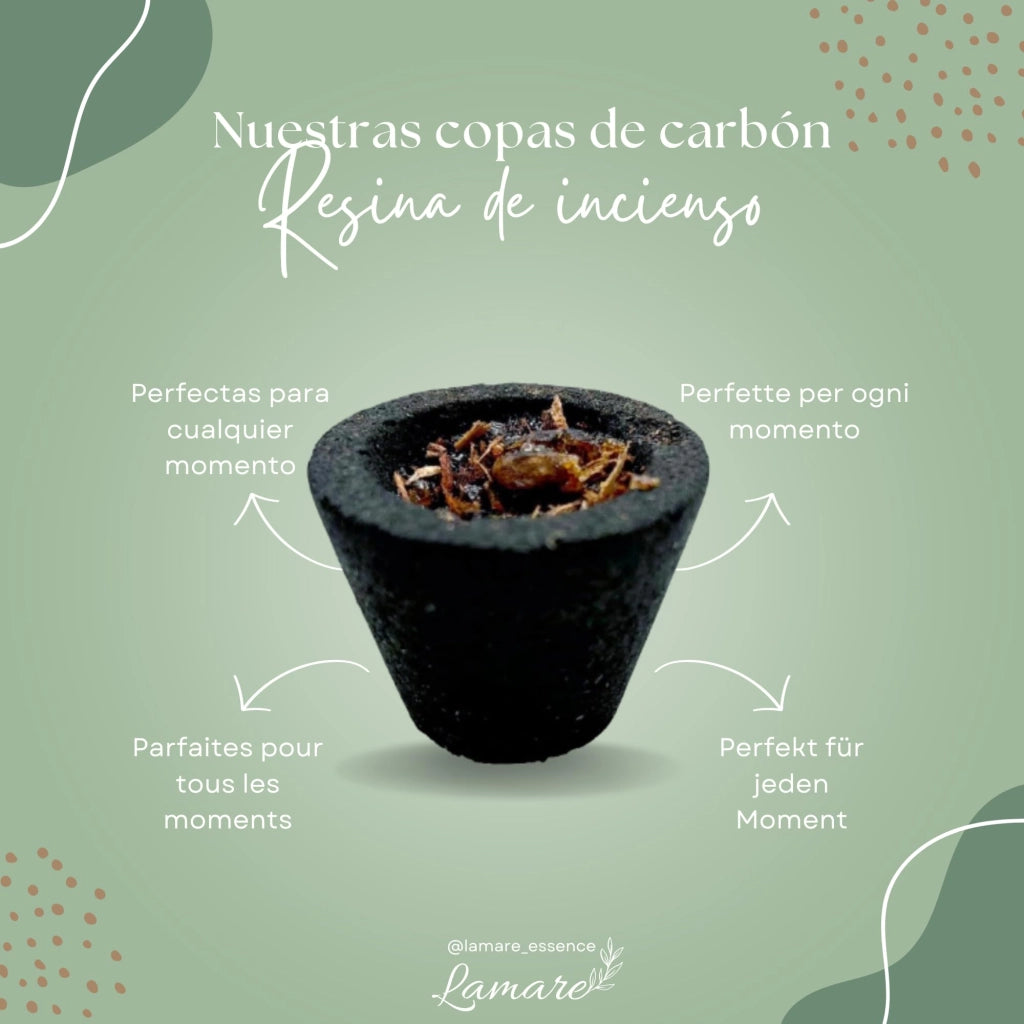 Tazze per carbone con 5 grammi di resina affumicata, confezione da 6 pezzi, Palo Santo e sandalo