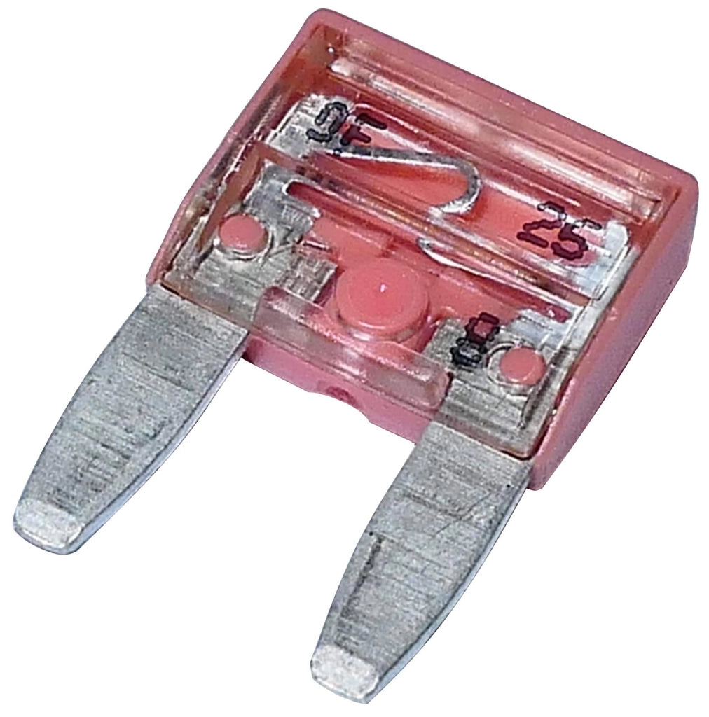 Mini fusibili da 4 A, rosa, 11,9 mm, confezione da 10, per tensioni da 6 a 36 V