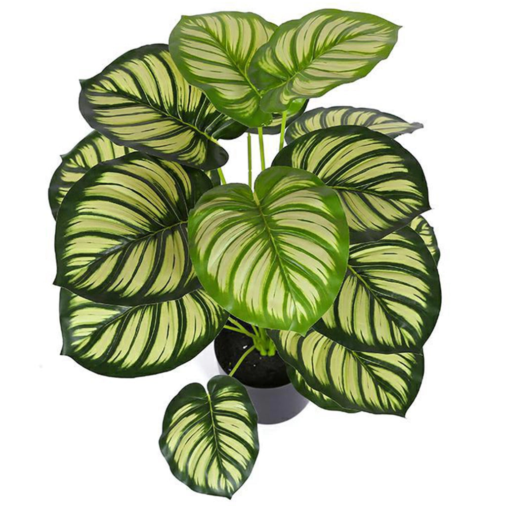 PIANTA ARTIFICIALE in vaso 70x60 cm in plastica, Set da 2 pezzi
