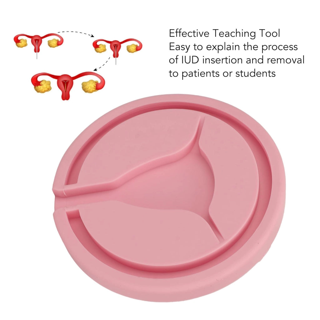 Modello di addestramento IUD a forma di "Y", in ABS, per l'addestramento e l'uso clinico