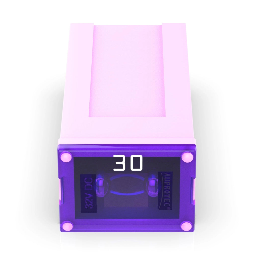 Blocco di sicurezza JCASE, 30A, rosa, 1 pezzo, 32V DC