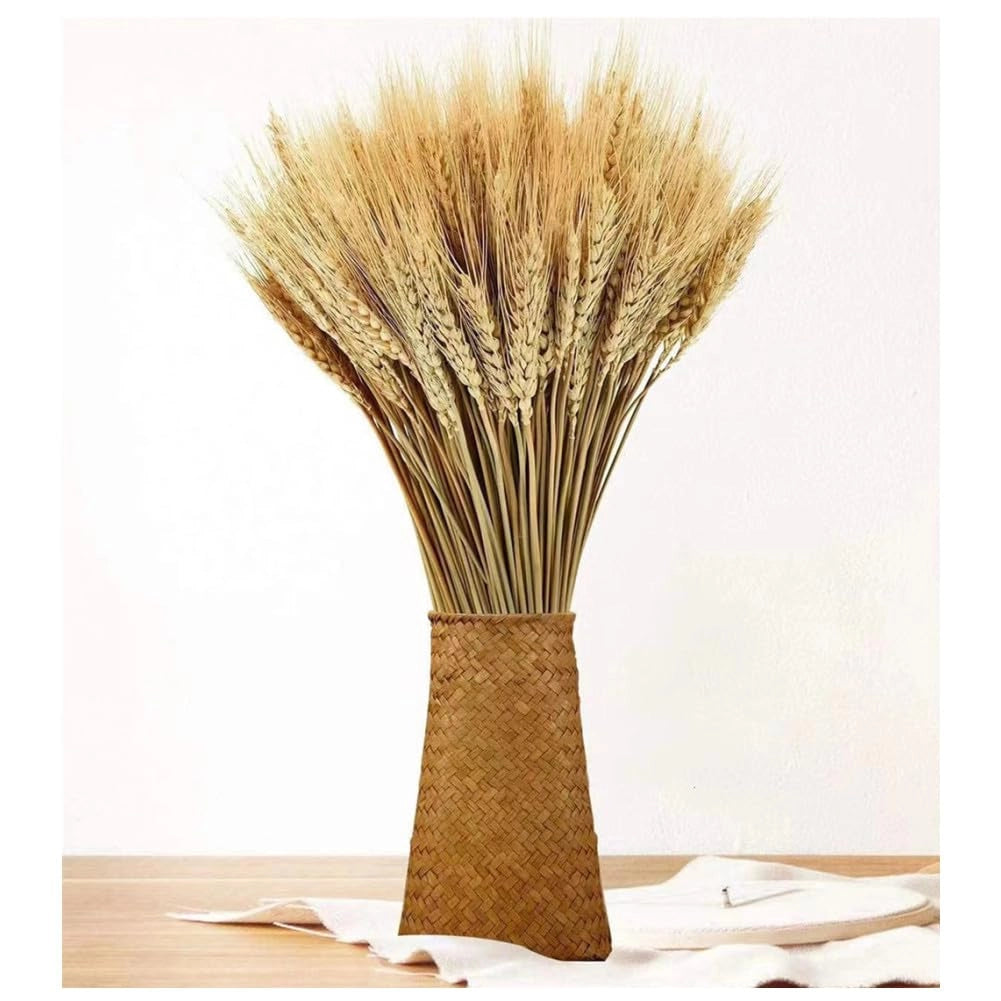 Fiori secchi – 100 steli di spighe di grano, 40 cm, naturali