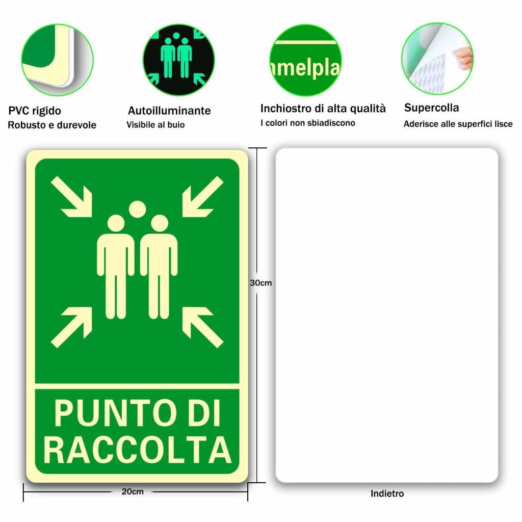 Set di 2 cartelli "Punto di raccolta", dimensioni 20x30 cm, in PVC fluorescenti